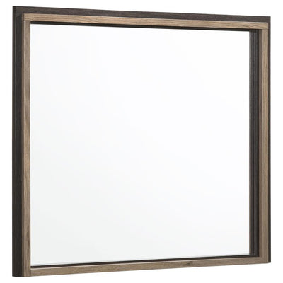 Baker - Rectangular Dresser Mirror - Brown and Light Taupe.