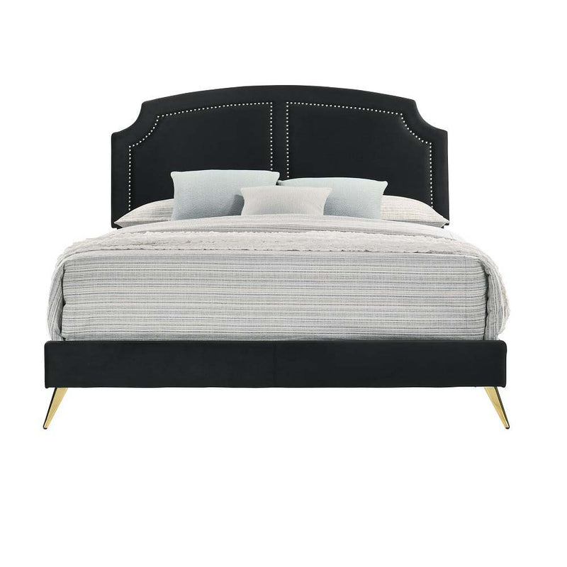 Zeena - Full Bed - Black Velvet - Grand Furniture GA