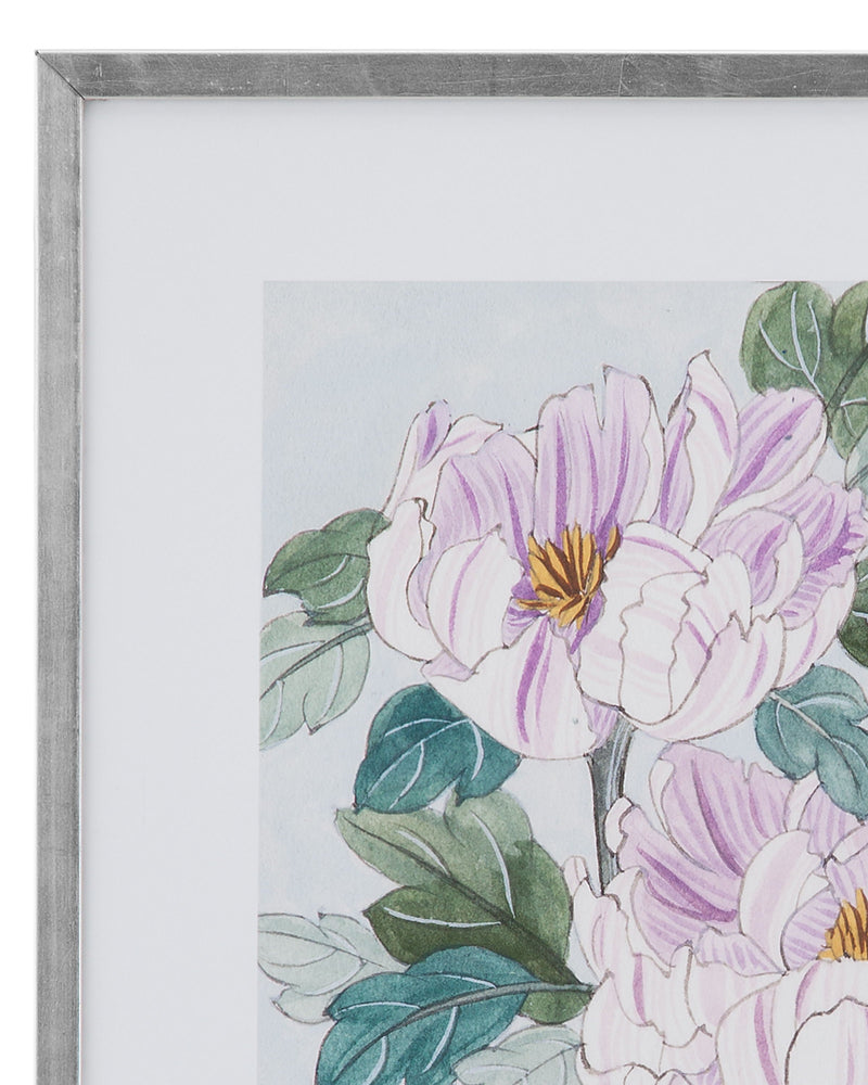 Striped Peonies II - Pink