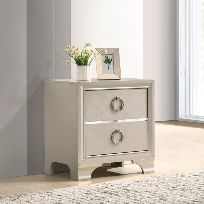 Salford - 2-Drawer Nightstand - Metallic Sterling.