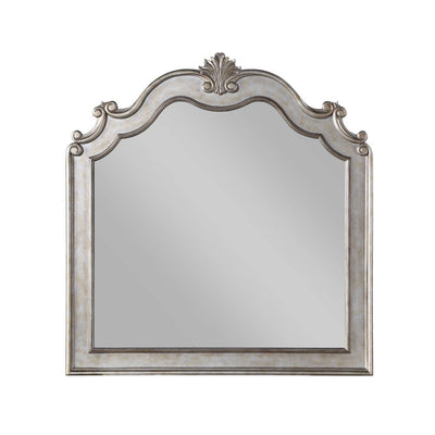 Esteban - Mirror - Antique Champagne - Grand Furniture GA