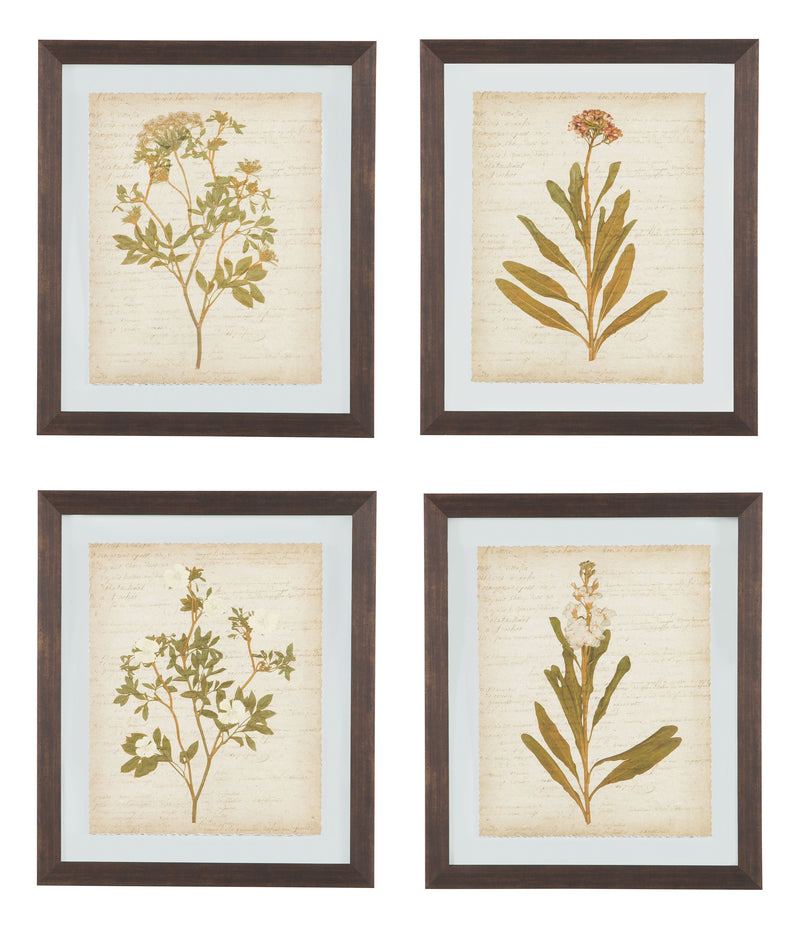 Dyani - Brown - Wall Art Set (Set of 4).